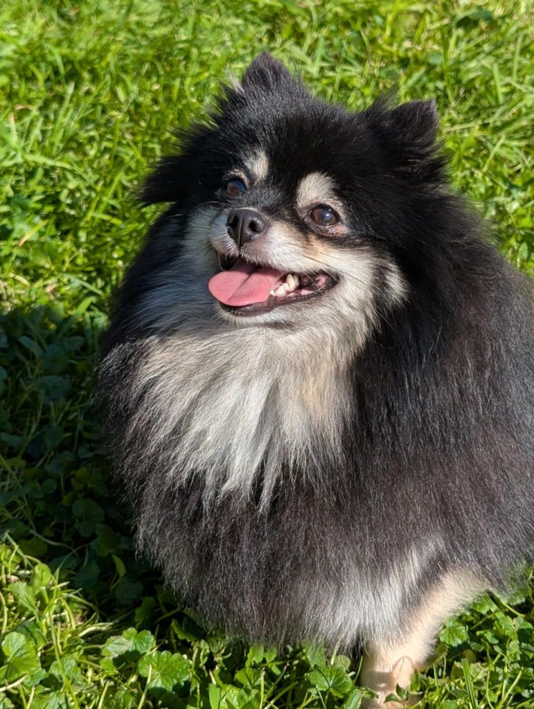 U my mulan Des Perles Du Rangen